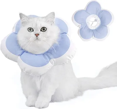 A white cat wearing a light blue and white flower-shaped Elizabethan collar, with a separate collar shown to the right.