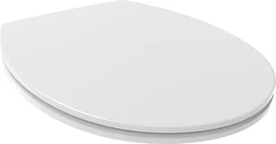 Produktbild von Toilettsitz aus Duroplast mit Soft-Close- und Easy-Clean-Funktion.
