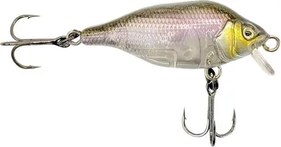 Produktbild von Fox Rage Funk Bug SR Wobbler 4cm 4g UV Gold Head