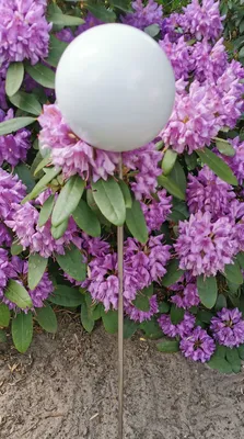 Produktbild von Rosenkugel 15 cm Edelstahl weiß matt gebürstet mit Stab 80 cm Beetstecker