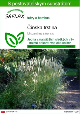 Obrázok produktu pre SAFLAX - Čínska trstina - Miscanthus sinensis - 200 Semená - S pestovateľským substrátom bez klíčkov