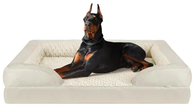 Immagine prodotto di Cuccia ortopedica per cani di grossa taglia