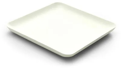 Immagine prodotto di Piatto di canna da zucchero bianco, quadrato, 160 x 160 x h 15 mm, 40 pezzi