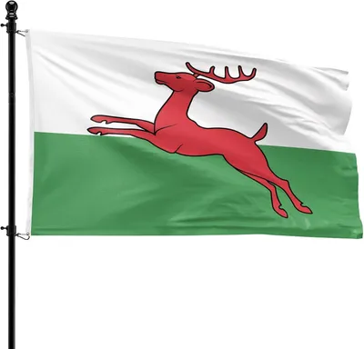 Imagen del producto de Bandera del municipio de Smallingerland, 90 x 150 cm, de poliéster, para asta de bandera
