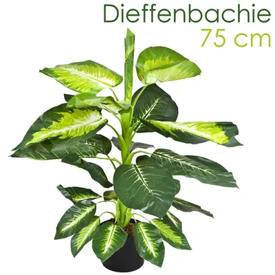 Produktbild von Decovego künstliche Dieffenbachie, Kunstpflanze 75 cm für Wohnzimmer & Büro, naturgetreue Deko, pflegeleicht & allergikerfreundlich