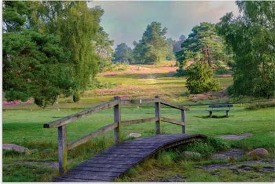 Produktbild von ARTland Wandbild Alu für Innen & Outdoor Lüneburger Heide Größe: 120x80 cm