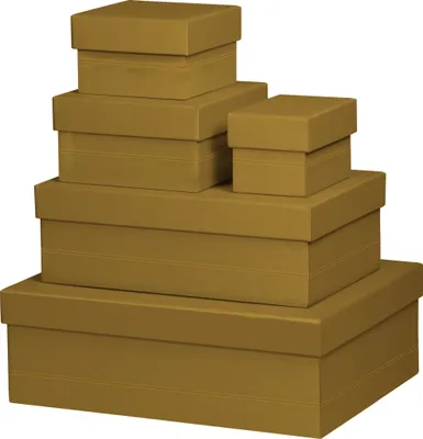 Produktbild von Rhodia Set 5 ineinander schachtelbaren Boxen Kunstleder, 44x34x16cm Gold 194553C