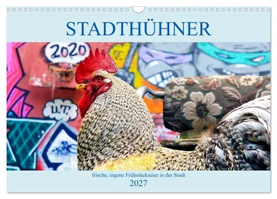 Produktbild von Stadthühner (Wandkalender 2027 DIN A3 quer), CALVENDO Monatskalender