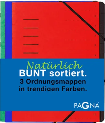 Zdjęcie produktu dla PAGNA Ordnungsmappenset 12 Fächer 1-12 je 1Stk rot/blau/grün