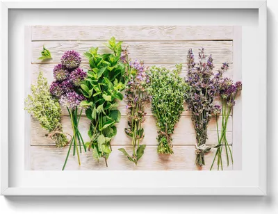Produktbild von Pflanzen und Kräuter auf Brettern– Wandbild mit Rahmen – Gerahmtes Bild  – Wanddekoration – 70x50 cm –  Weiß Rahmen