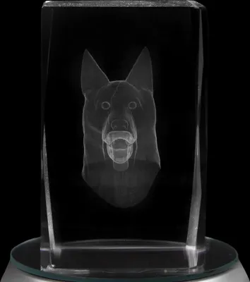 Imagen del producto de Cuadrado de cristal, motivo de perro, color transparente