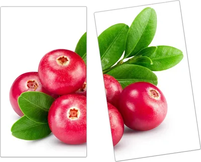 Produktbild von Spritzschutz Herdabdeckplatte Schneidebrett aus Glas Preiselbeeren 2-Teilig (60x52cm)