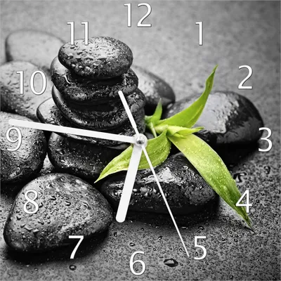 Produktbild von Wallario Design Wanduhr Bambustrieb auf schwarzen Steinen, benetzt mit Wasser-Tropfen aus Echtglas, Größe 20 x 20 cm