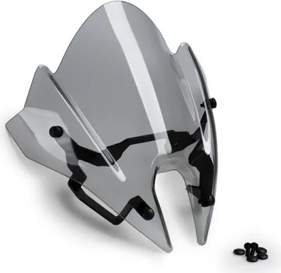 Image de PUIG 20795H New Generation Sport pour TRIUMPH SPEED TRIPLE 1200 RS teinté