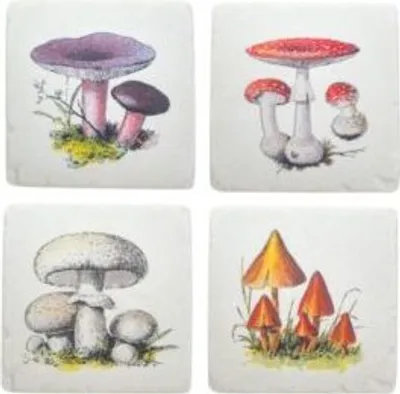 Immagine prodotto di Sottobicchieri a fungo vintage (set di 4) - Sass & Belle