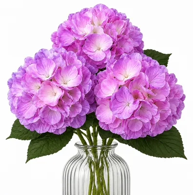 Produktbild von G.blümt Künstliche Hortensien 64 cm lang, Kunstblumen Real Touch wie echt, Pinkes Lila 3 Stück