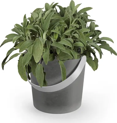 Produktbild von ZACK TARDO Pflanztopf Pflanzgefäß Blumentopf 30630