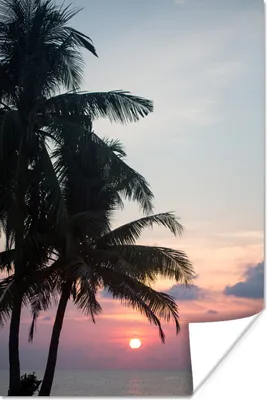 Produktbild von MuchoWow® Poster Palme - Tropisch - Sonnenuntergang 80x120 cm - Papierdruck