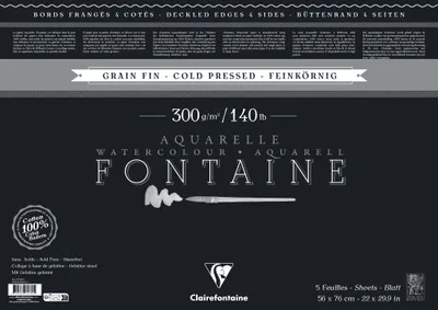 Produktbild von Clairefontaine Fontaine Pack. 5 Bogen Aquarellpapier 56x76cm schwarz 975780FC