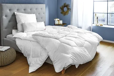 Produktbild von Paradies Kopfkissen SOFTY SINFONIE BIO BL 80x80 cm weiß Daunenkissen