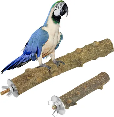 Produktbild von Vogel Sitzstange 10 cm, 20 cm, Holz, Für Vögel, 2er Set