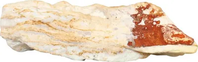 Produktbild von Aquariumdekoration Stein  Versteinertes Holz bunt 0,8 -1,2 kg Aquascaping