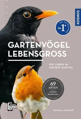 Image de Gartenvögel lebensgroß