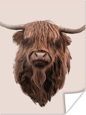 Produktbild von MuchoWow® Poster Schottischer Highlander - Kuh - Porträt 120x160 cm - Wandbilder