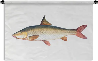 Produktbild von MuchoWow® Wandteppich Wandbehang Fisch - Realismus - Hai 60x40 cm Tapisserie Dekoration Wandtuch - Wanddekorationen