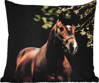 Produktbild von MuchoWow® Outdoor Kissen - Pferd - Äste - Porträt - 40x40 cm - Wetterfest - Lounge Kissen - Kopfkissen - Interieur - Polster mit Bild