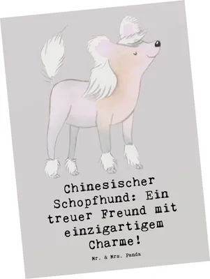 Produktbild von Mr. & Mrs. Panda Postkarte Chinesischer Schopfhund Charme - Grau Pastell - Geschenk, Intelligenz Hunde, treue Begleiter, treuer Freund, haarlose, exotische, Hunderassen