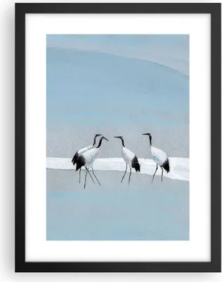 Produktbild von Gerahmtes Poster - Schwarzer Rahmen - Vögel Kraniche Natur - 30x40 cm - Wand Bild - Wanddeko - Wandbilder - Kunstposter - Wandposter - Bilderrahmen - Bilder - Kunstdruck - P2BPA30x40-4921