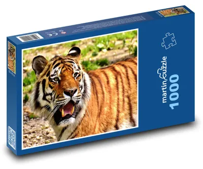 Obrázek produktu pro Puzzle 1000 Tygr v divočině - martinpuzzle