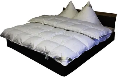 Produktbild von Betten Hofmann Premium 8 cm Hochsteg Daunenbett Daunendecke 155x220 cm 100% pilsner Gänseflaum
