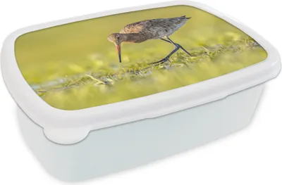 Produktbild von KitchenYeah® Lunchbox Brotzeit Brotdose 17x11 cm Vögel - Gras - Landschaft - Uferschnepfe Kinder Brotzeitdose - Lunch Box - Kinder - Sandwich-Box - Schulbox - Lunch Boxen