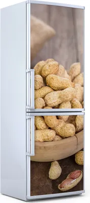 Produktbild von Magnete Dekorative - 60 cm x 180 cm - Küche Magnetmatte Kühlschrankmagnete - Nüsse Motive