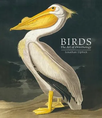 Immagine prodotto di Birds