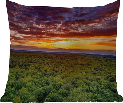 Produktbild von MuchoWow® Outdoor Kissen - Wald - Nacht - Himmel - Horizont - Bäume - 60x60 cm - Wetterfest - Lounge Kissen - Dekoration - Schlaf Kissen