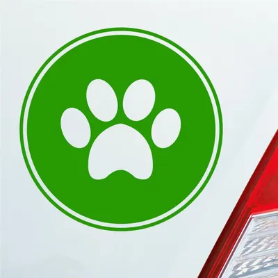 Produktbild von Auto Aufkleber Pfote Paw Dog Hund Tier Haustier Abdruck 10x10 cm Hellgrün Sticker Heckscheibenaufkleber