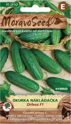 Zdjęcie produktu dla Ogórek ORFEUS F1 - hybryda 64049