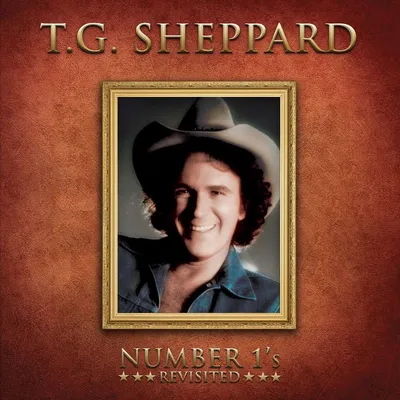 Obrázek produktu pro T.G. Sheppard: Number 1's Revisited