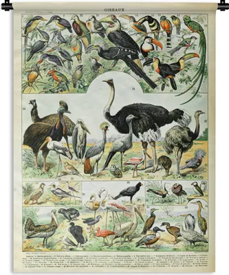 Produktbild von MuchoWow® Wandteppich Wandbehang Vogel - Tiere - Natur 90x120 cm Tapisserie Dekoration Wandtuch - Wanddeko