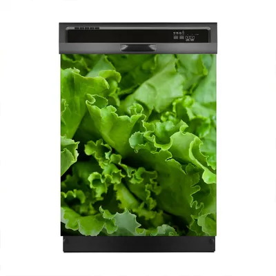 Produktbild von Aufkleber sticker 60x70 cm Dekorative folie Spülmaschine - Kopfsalat grün Salat