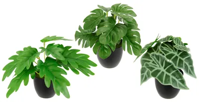 Produktbild von Mini-Pflanzen 3er Set Monstera Kunstpflanzen Topfpflanzen Deko Seidenblumen