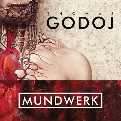 Obrázek produktu pro Thomas Godoj: Mundwerk