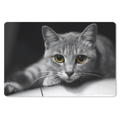Produktbild von MuchoWow® Schreibtischunterlage Katze - Tier - Makro 60x40 cm - XXL Mauspad - Großes Mauspad