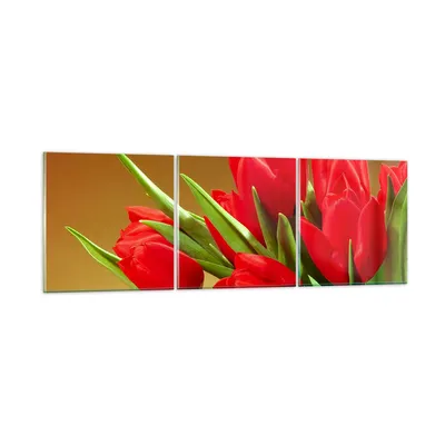 Produktbild von Bilder auf glas - Tulpen Blumen Feld Plantage - 150x50cm - Glasbilder - Wandbilder - Kunstdruck - zum Aufhängen bereit - Wanddekoration aus Glas - Glas Bilder - Wandbild auf Glas - GCA150x50-0962