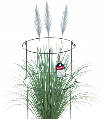 Obrázok produktu pre KADAX záhradná opora "Moie", držiak na rastliny, opora na kvety, opora na rastliny, pomôcka na šplhanie rastlín, 90 cm, 1 kus