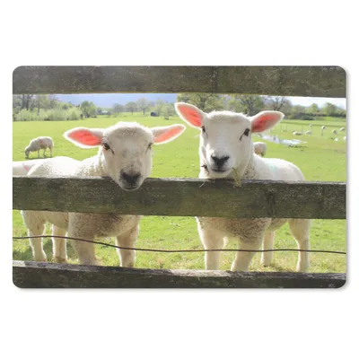 Produktbild von MuchoWow® Schreibtischunterlage Schaf - Holz - Lamm 60x40 cm - XXL Mauspad - Großes Mauspad