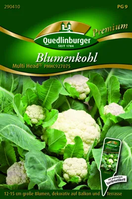 Produktbild von Blumenkohl 'Multi' Quedlinburger Gemüsesamen